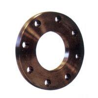 image BRIDE PLATE NOIR PN16 DN125-139 US306